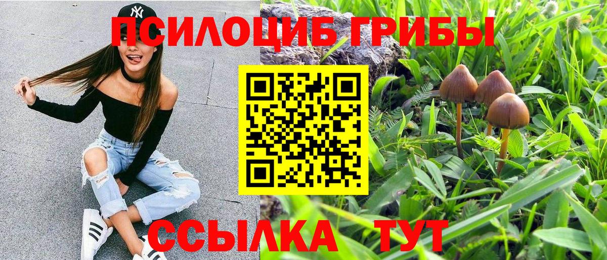 Псилоцибиновые грибы GOLDEN TEACHER  Галлюциногенные грибы MAGIC MUSHROOMS  Тверь  Вход с VPN 